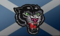 Caledonian Panthers logo